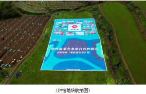 沃土春播正当时　必胜客扶业计划开新篇
